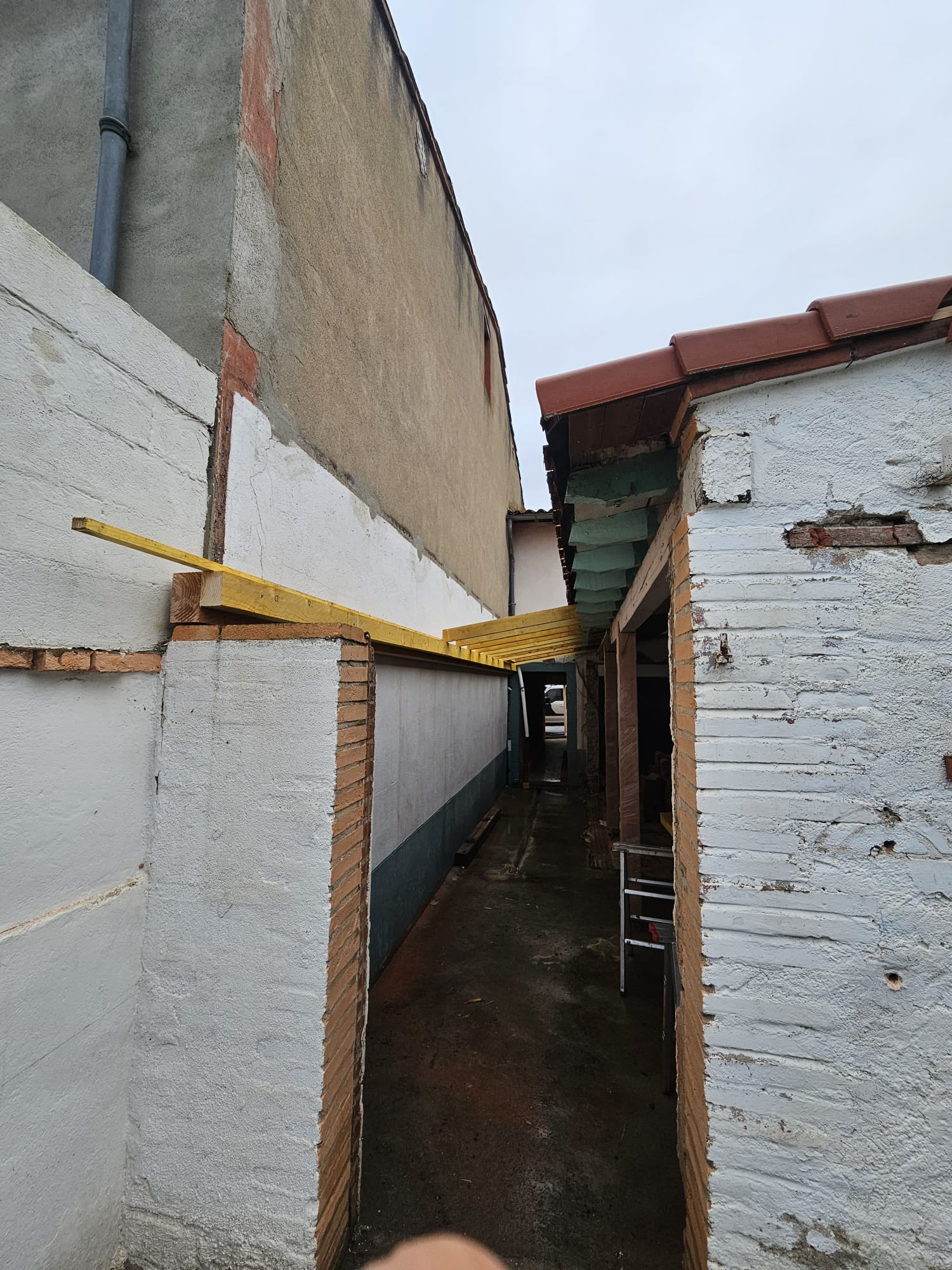 WhatsApp Image 2026 03 22 at 18.44.48 (4)